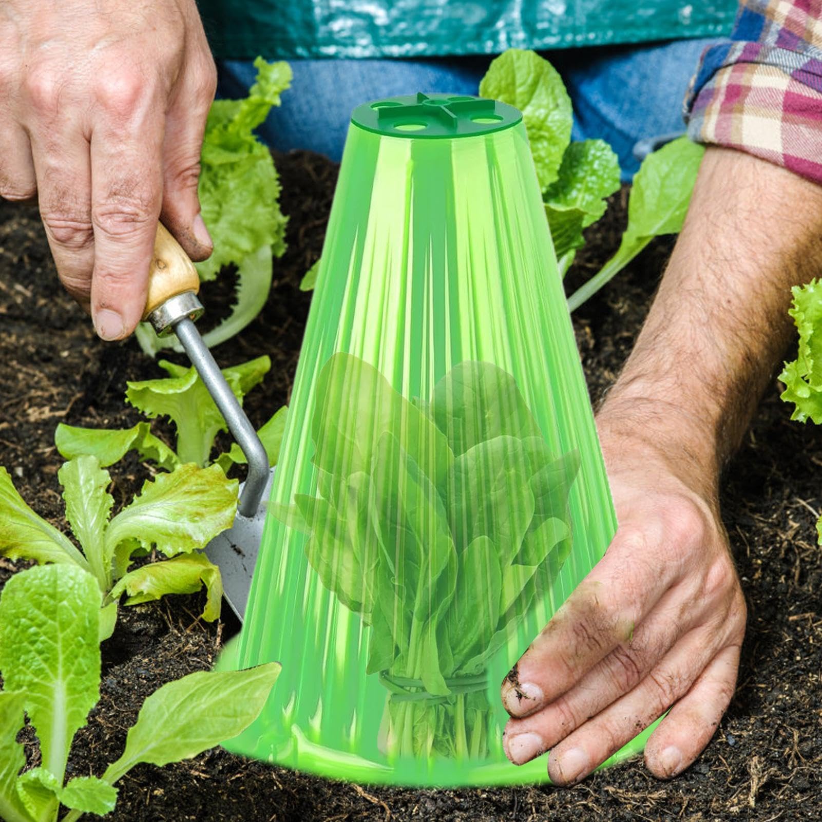 Cloches da giardino, cloche di piante - Cloche di barattolo a campana trasparente per piantine di piante | 30x cloche di barattolo a campana trasparente con protezione resistente al clima della copert
