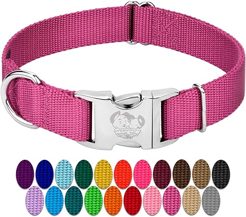 Country Brook Petz  Collar de nailon premium para perro con hebilla de metal  Vibrante selección de 25 colores, Rosa