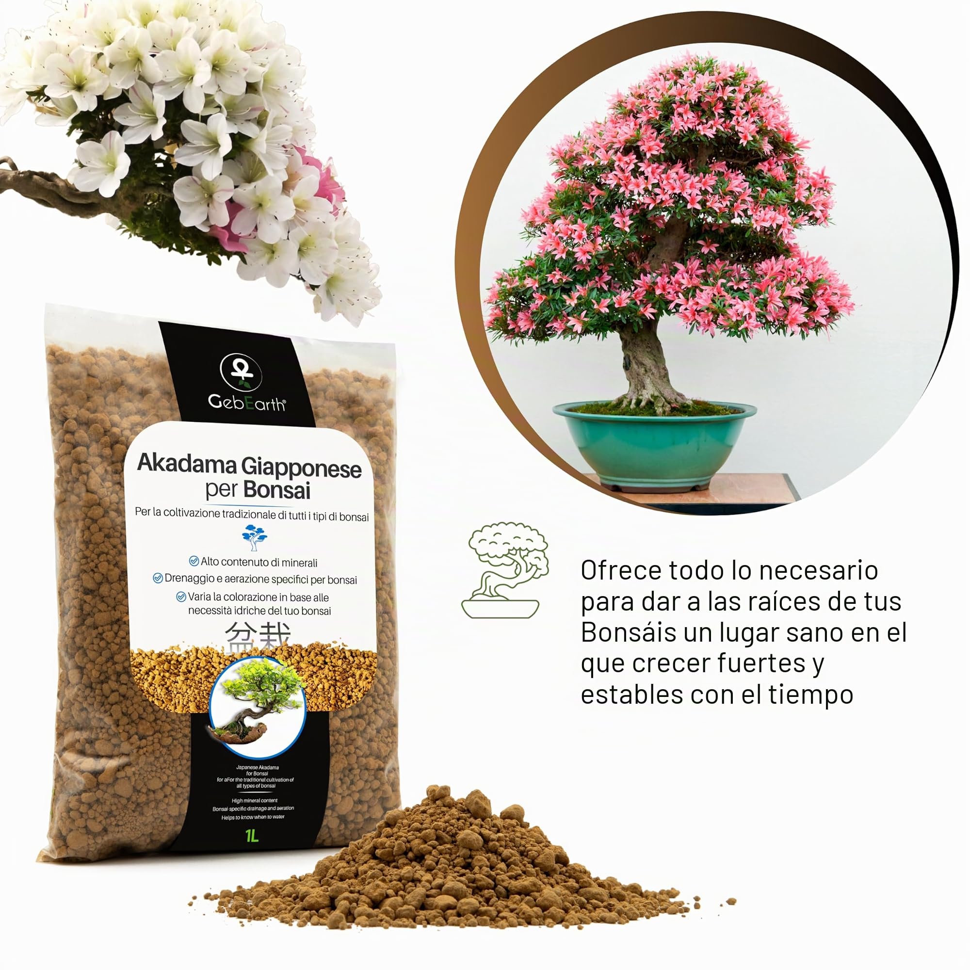 GebEarth - Akadama japonés profesional para bonsai 2-5 mm de 1 l. Equilibrio perfecto de agua, aire y minerales
