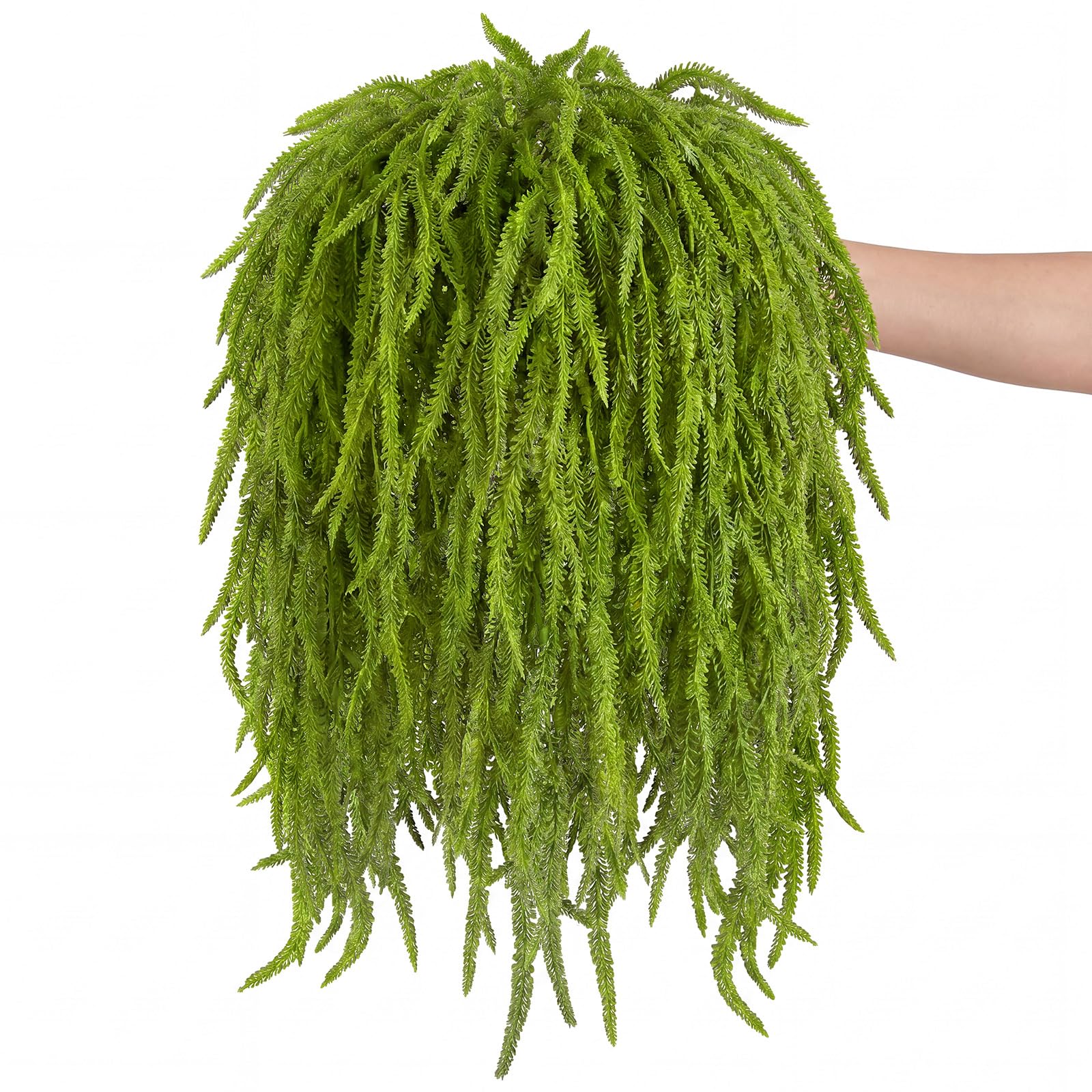 Photo 1 of Suncalla 36 Pcs Amaranthus Artificial Flower Faux Amaranthus Hanging Plants Dried Preserved Bleached Wisteria for Wedding DIY Bouquet Garlands Floral Arrangement Home Wall Decor (Green,24 Inch)