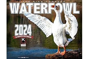 Duck & Geese 2024 Waterfowl Calendar