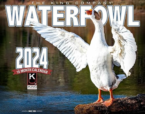 The KING Company - Calendario de pared de aves acuáticas 2024, tamaño XL, 14 x 22 pulgadas, calendario de gansos de pato por The KING