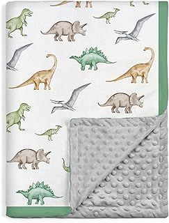 SANDJEST Dinosaurs Blanket for Boys - 30 x 40 Minky Kid Blankets Gift for Kids on Christmas Birthday