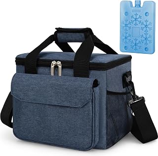 BERTASCHE Lunch Bag for Men Women,10L Lunch Box with Ice Pack,Black | Insulated Leakproof Cooler Bag for Work, Office, Campus, Daily, Outdoors Use