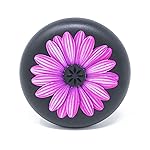 INVISALIGN Aligner and Retainer Case, Purple Daisy