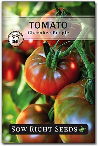 Sow Right Seeds - Semilla de tomate púrpura Cherokee para plantar - Paquete de reliquia sin OMG con instrucciones para plantar un huerto casero -