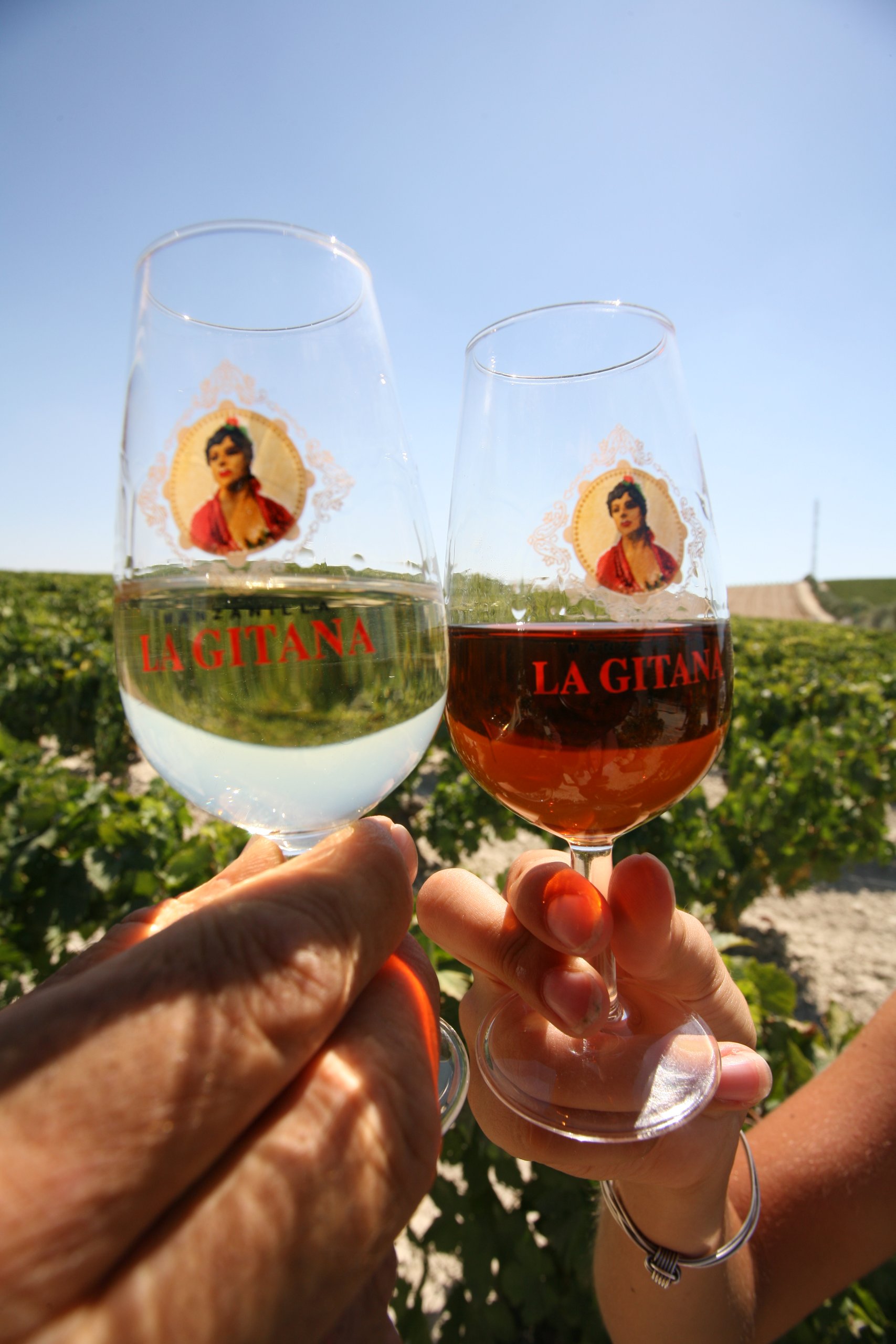 Amazon.co.jp: ボデガス イダルゴ ラ ヒターナ マンサニージャ ラ