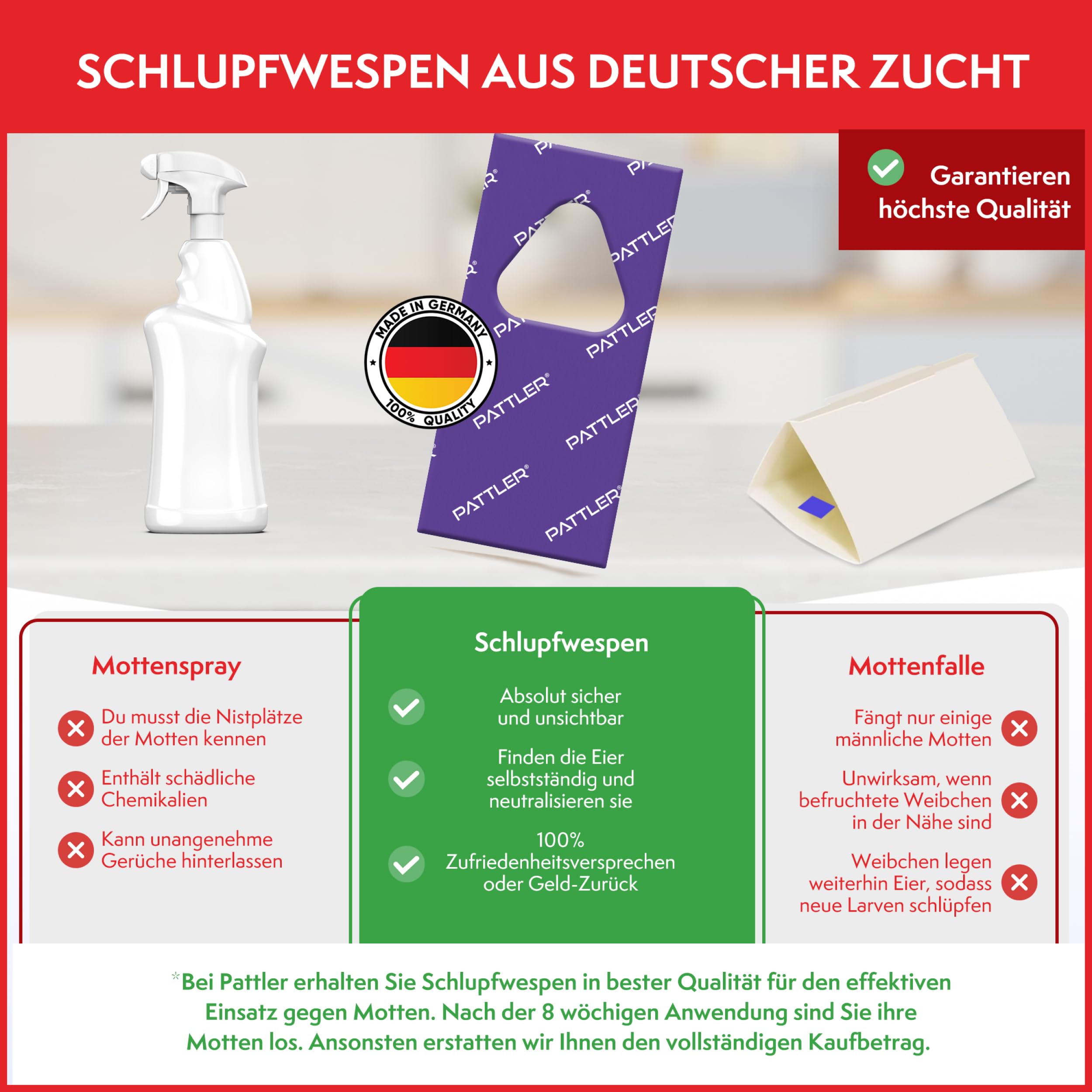 PATTLER® Schlupfwespen gegen Lebensmittelmotten und Kleidermotten - 10 Karten à 4 Lieferungen - Effektiv Motten bekämpfen - Alternative zur Mottenfalle, Mottenspray, Pheromonfalle