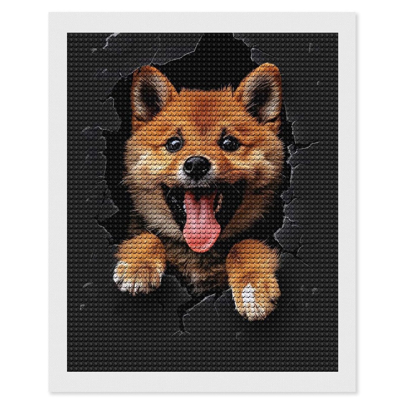Junmoney Shikoku Full Drill Diamond Painting Kit 16"x20", for Teens, Adhesive Canvas, Bedroom Decor, Holiday Gift Idea