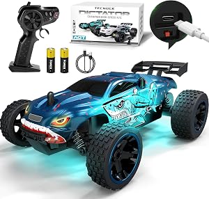 Tecnock RC Truck, 1:18 Scale 2WD Remote Control Truck with USB-C Easy Charging & 50-Min Play, 2.4GHz All-Terrain RC Car with LED Lights, Toys Gift for Kids Ages 8-12 Boys & Girls
