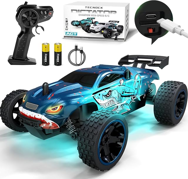 Tecnock RC Truck, 1:18 Scale 2WD Remote Control Truck with USB-C Easy Charging & 50-Min Play, 2.4GHz All-Terrain RC Car with LED Lights, Toys Gift for Kids Ages 8-12 Boys & Girls