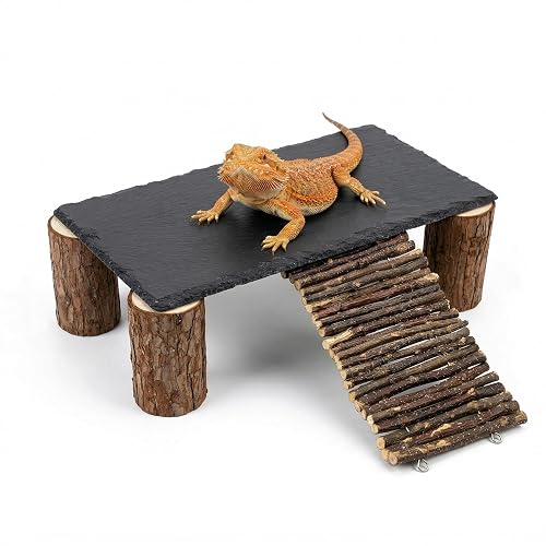 Bearded Dragon Basking Platform Natural Slate Rock with Wood Log