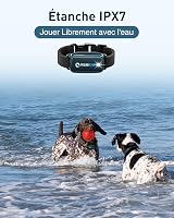 ABBIDOT Kiképző Nyakörv 2 Kutyához - 2024-es Éjszakai LED, 4 Tréning Mód, Tölthető, IPX7 Vízálló, Kis és Nagy Kutyáknak (6-55 kg) 6