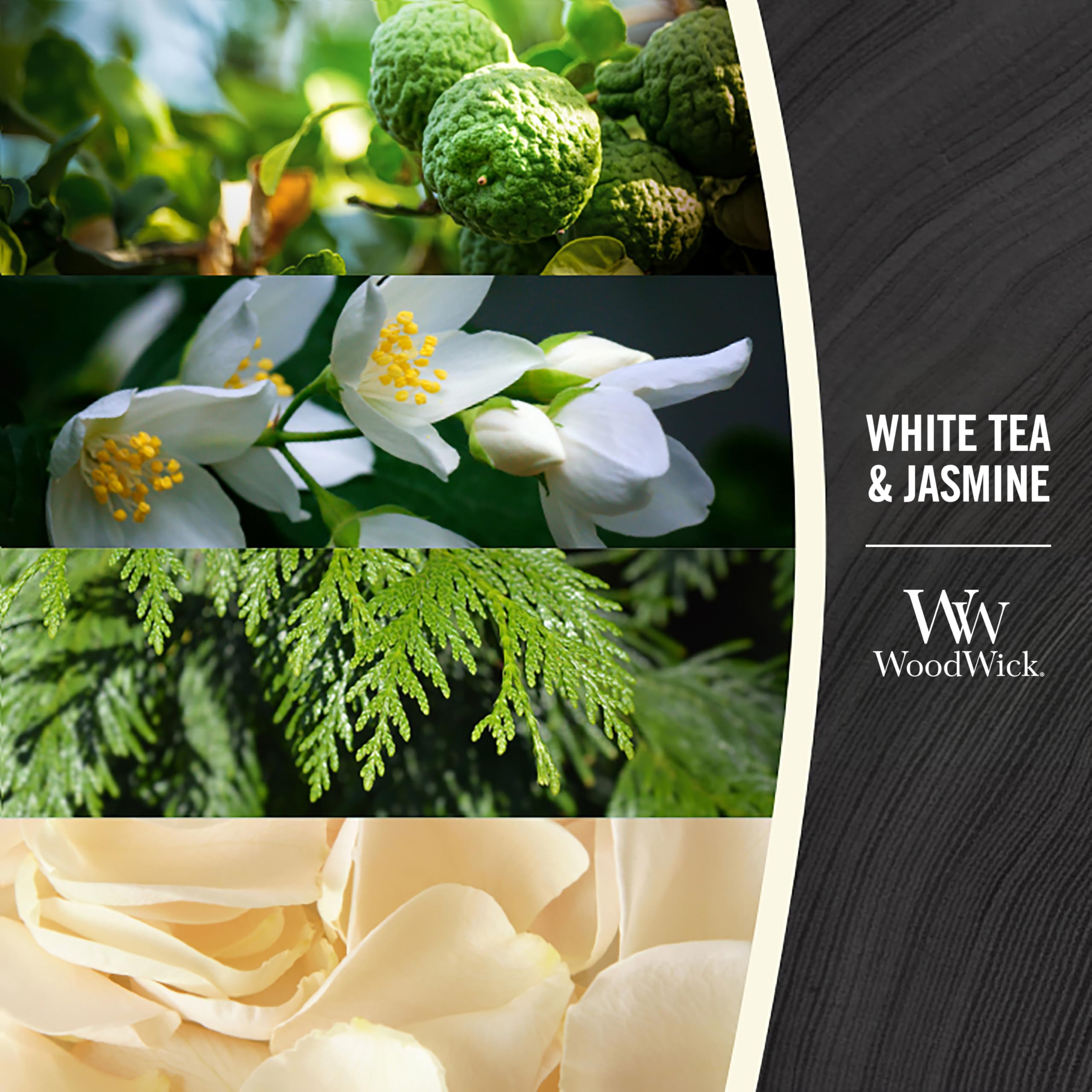 Woodwick Candela Clessidra Piccola White Tea & Jasmine Tè bianco e gelsomino con stoppino in legno 85 grammi