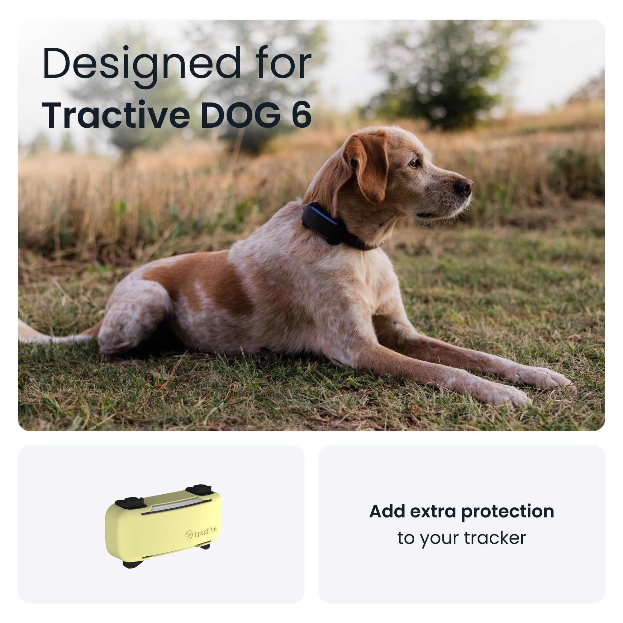 Amazon.com: Tractive GPS Dog 6 Tracker Cover - Yellow