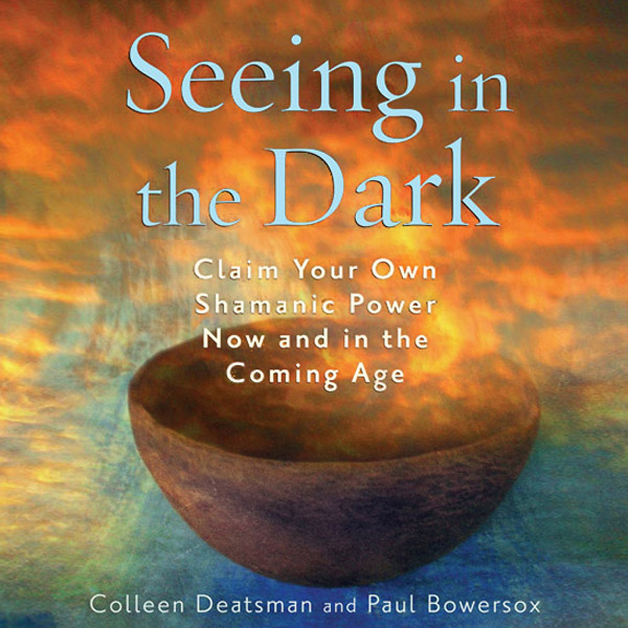 Cover art for Seeing in the Dark