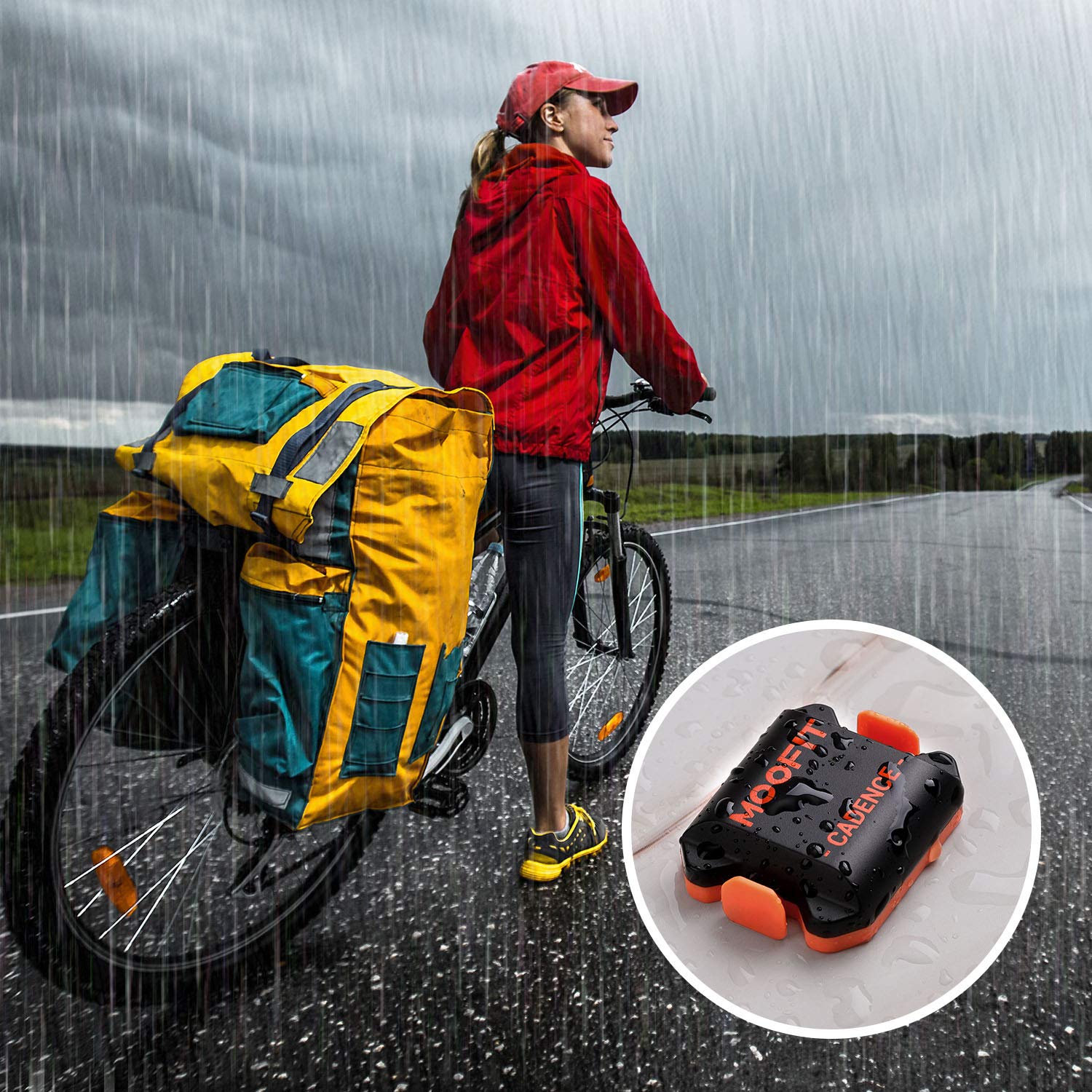 speed cadence sensor zwift