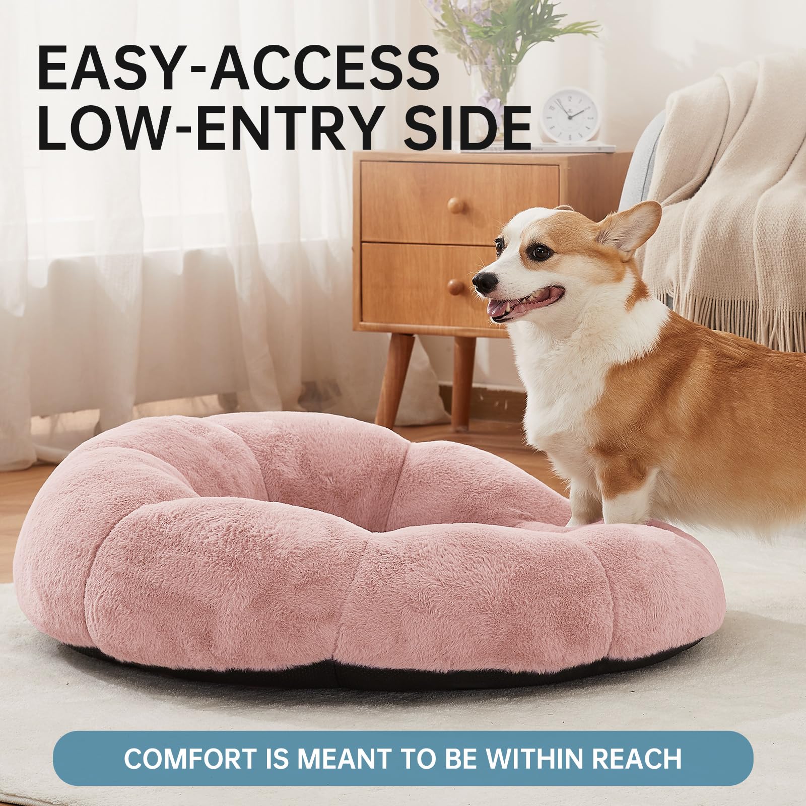 https://m.media-amazon.com/images/I/81MsXgY82RL.jpg
