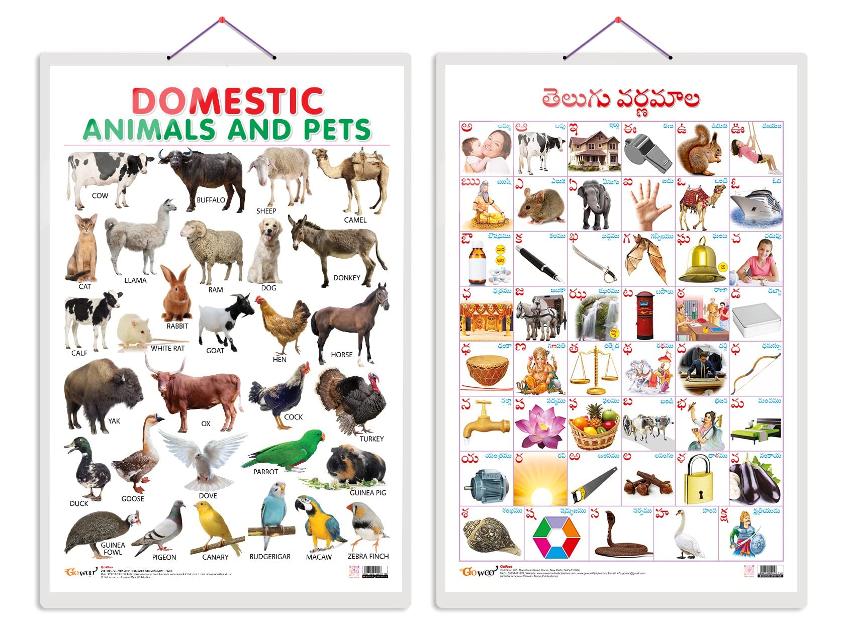 Set of 2 Domestic Animals and Pets and Telugu Alphabet (Telugu) Early Learning Educational Charts for Kids | 20"X30" inch |Non-Tearable and Waterproof | Double Sided Laminated | Perfect for Homeschooling, Kindergarten and Nursery Students (B0BWK4QLRS) Amazon Price History, Amazon Price Tracker