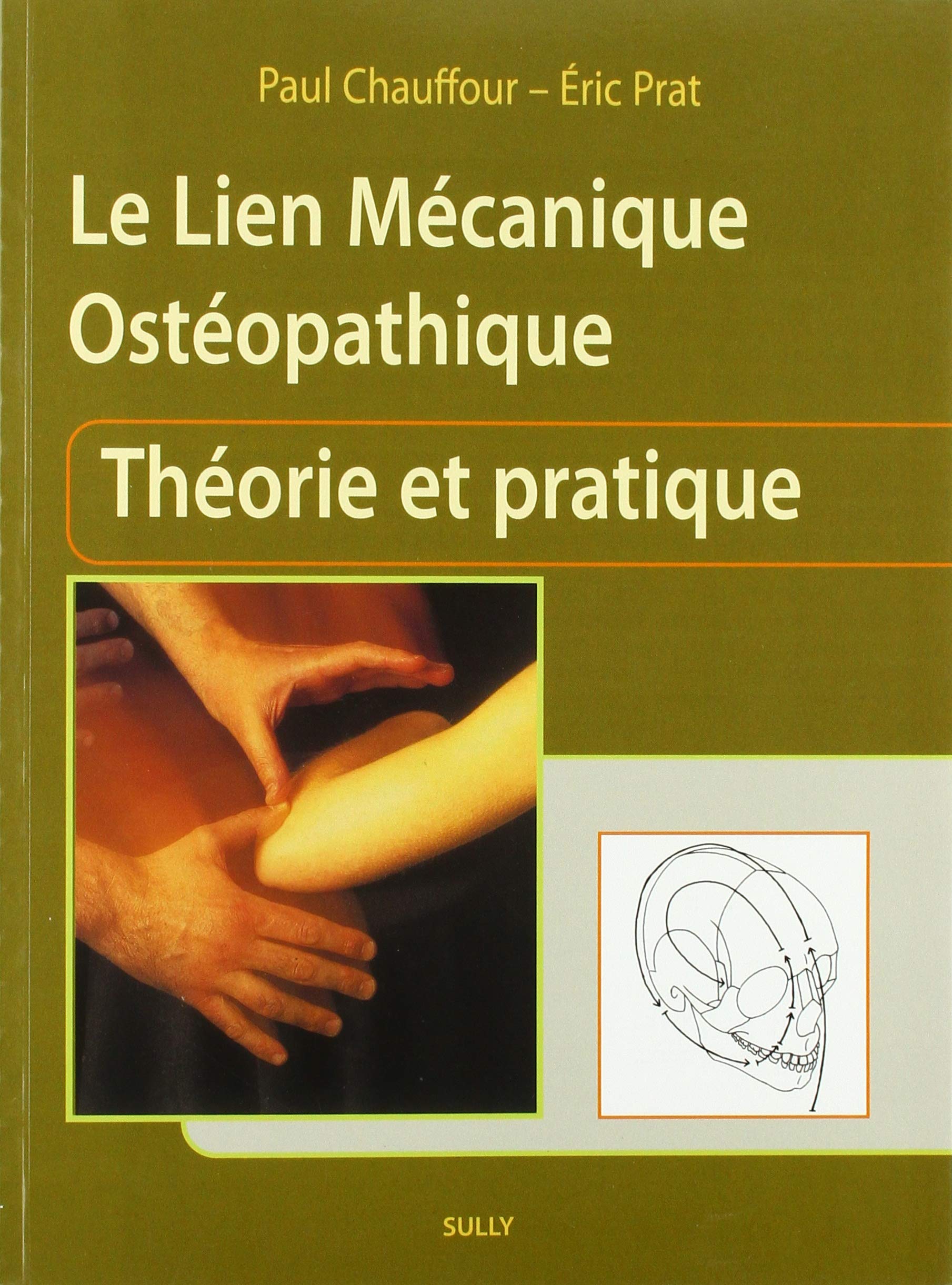 Le Lien Mécanique Ostéopathique Amazon.fr - Le lien mécanique ostéopathique (tome 1): Théorie et
