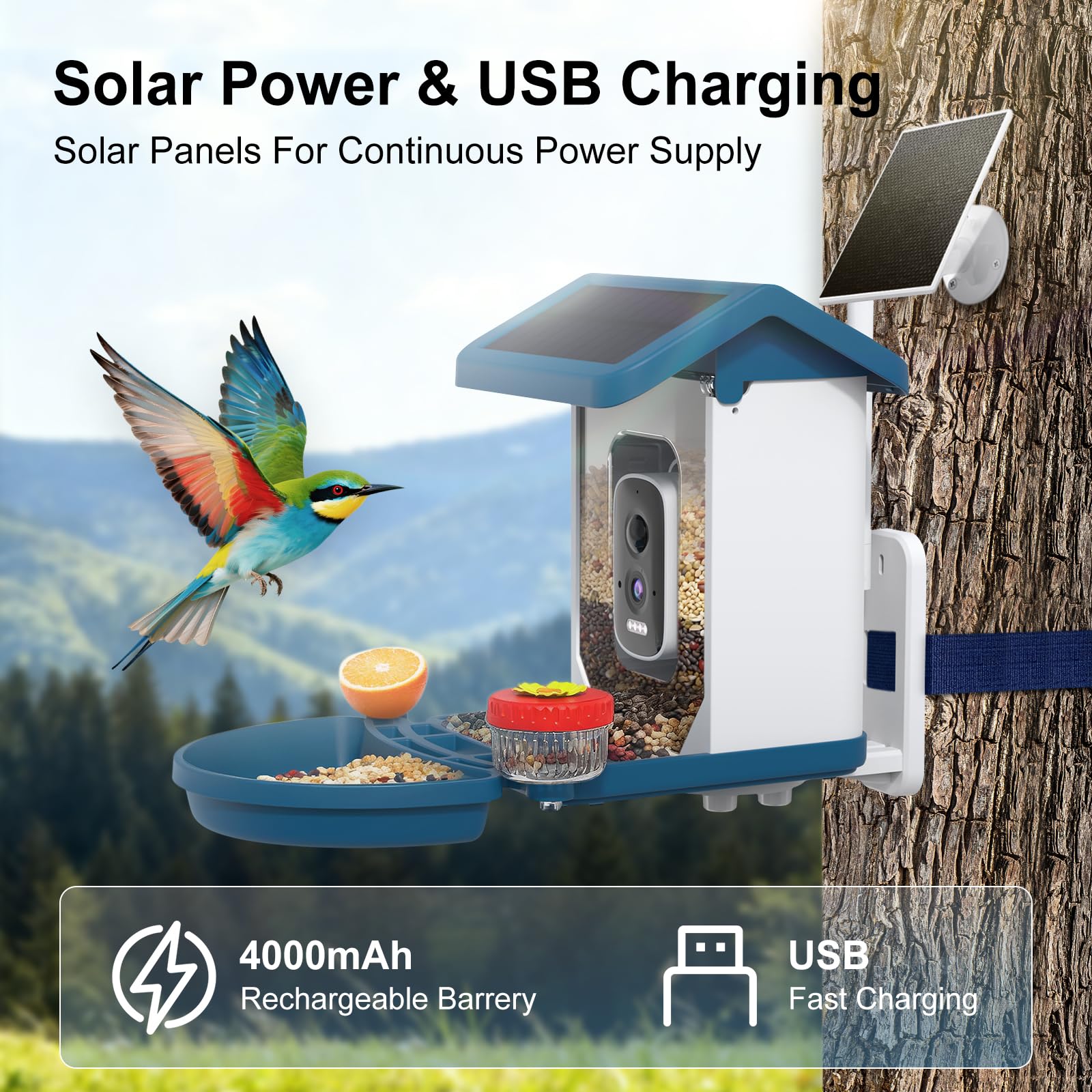 Smart Bird Feeder mit Kamera Solarbetrieben, 4K HD Video Vogelhaus, AI Vogelarten Identifikation, Live Stream & Nachtsicht, Auto-Capture & Notify, Wetterfestes Design, Ideale Geschenke für Liebhaber