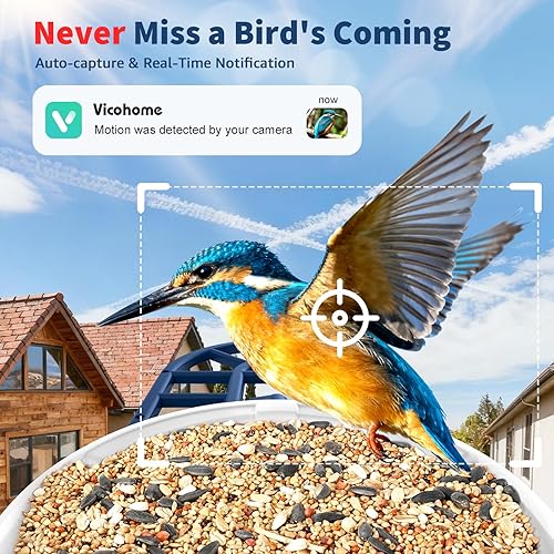 Miniatura 6 de Comedero para pájaros con cámara con IA para identificar más de 10000 especies de aves, 3 paneles solares, vista en vivo en 2K, alertas de llegada