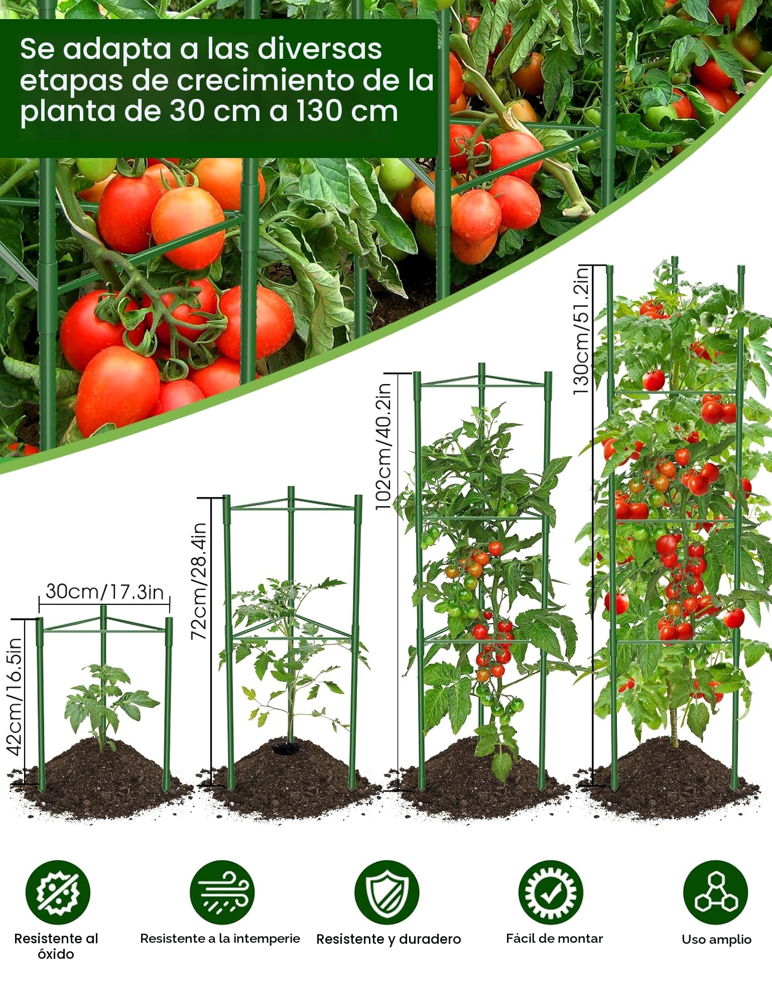 Jaulas de Tomate de Jardín, 130 cm Enrejado para Tomates Soporte Plantas Trepadoras Interior Exterior para Parterres Elevados, Verduras, Flores y Plantas Trepadoras 6 Piezas