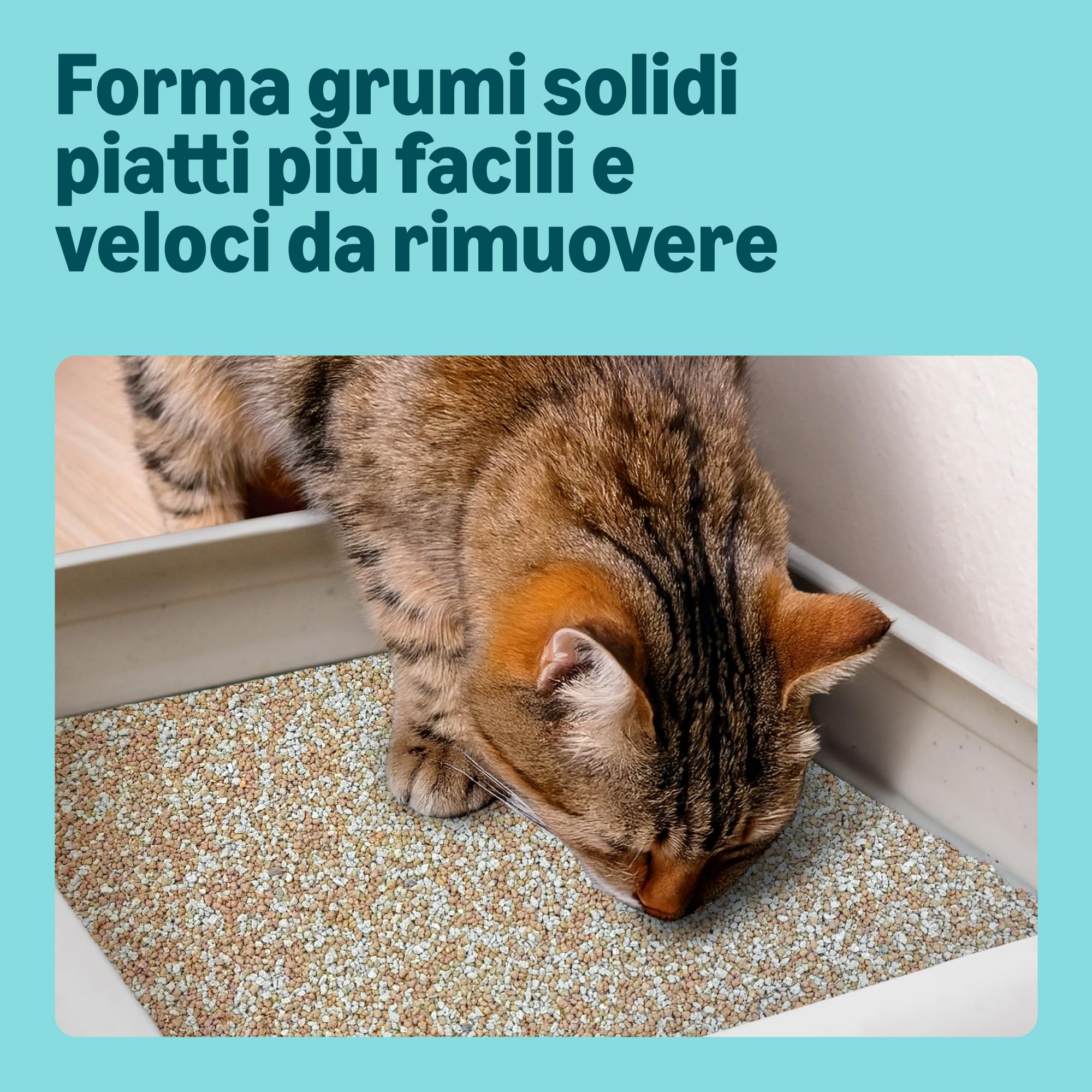 by Amazon Lettiera per Gatti con Agglomerante Fine, Senza Profumazione, 10L