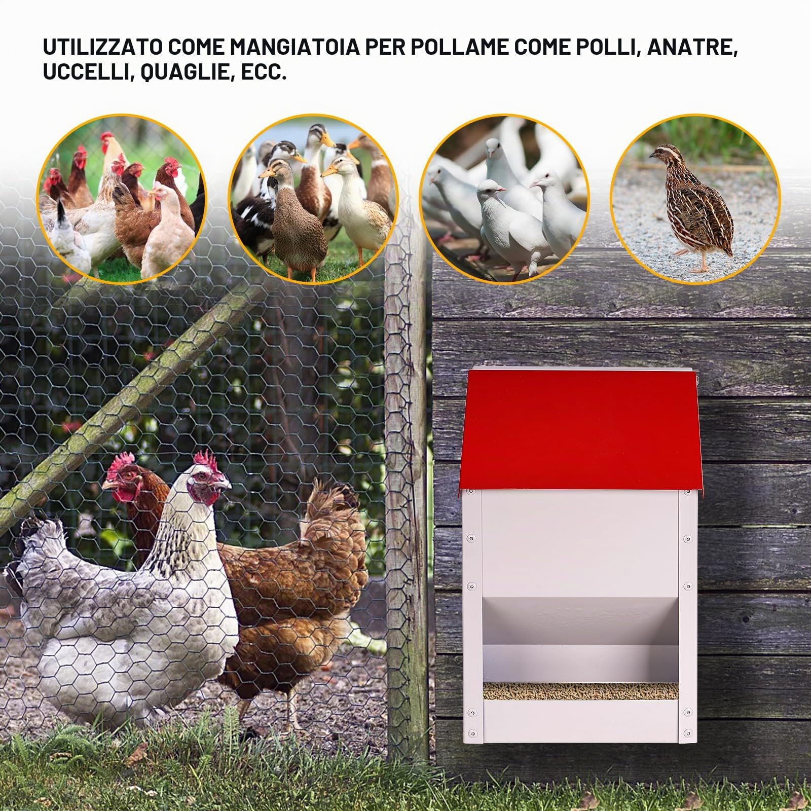 4.5kg Mangiatoia Automatica per Pollo In Acciaio Inox Appendere Mangiatoia Galline Automatica Senza Sprechi Alimentatore Automatico per Pollame Pollo Anatre Oche (Rosso)
