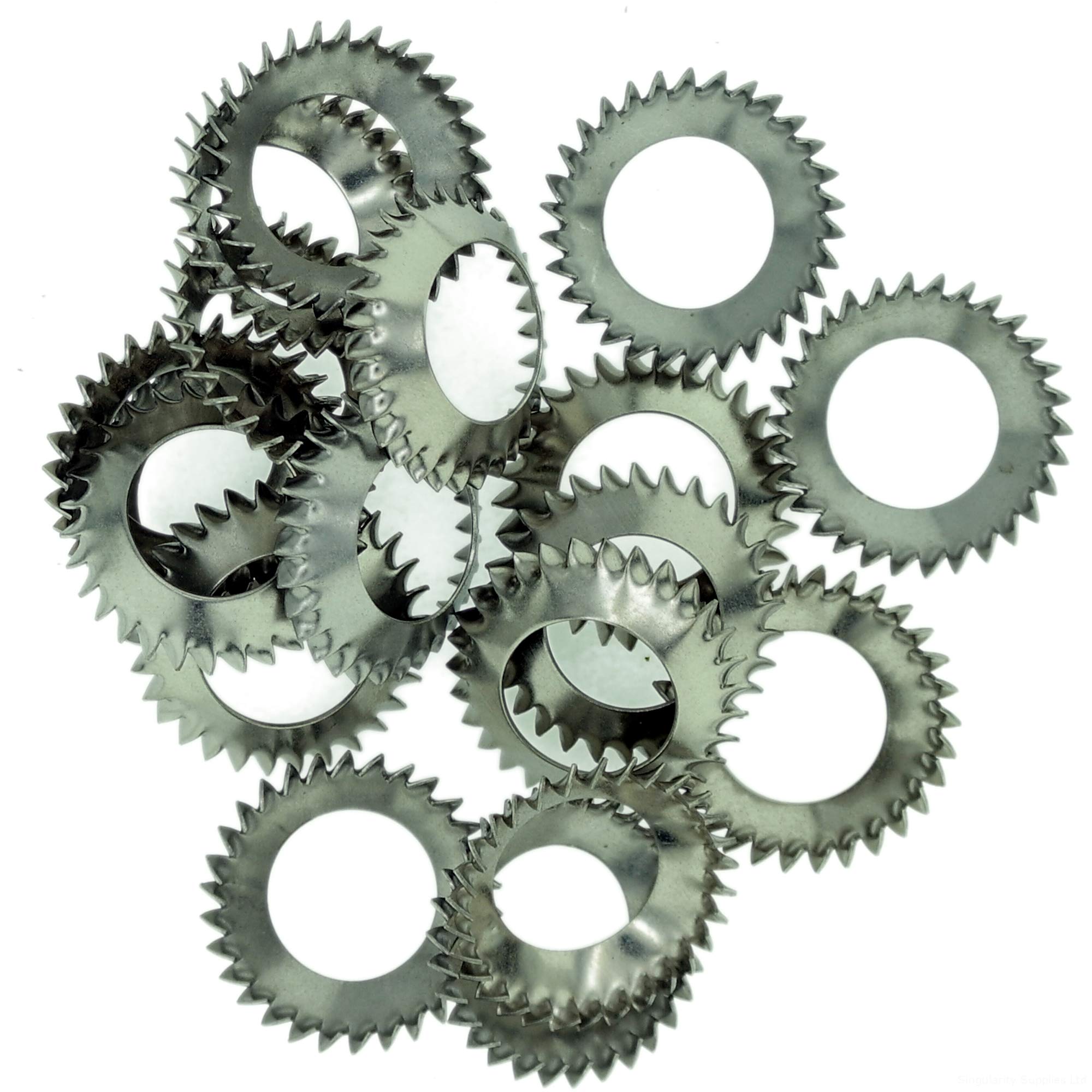 M16 (16mm) Shakeproof Washer (Countersunk External) - Stainless Steel (A2) (Pack of 20)