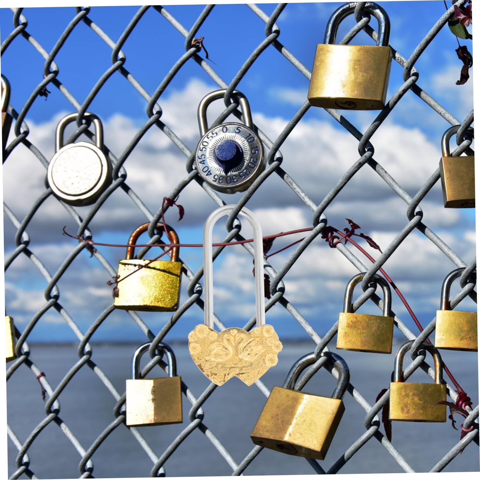 UKCOCO 3stücke Swan Pattern Metal Padlock Vintage Liebesschloss Für Hochzeiten Reisen Und Jubiläen Dekoratives Wunschschloss Mit Feiner Verarbeitung Und Tragbarem Design