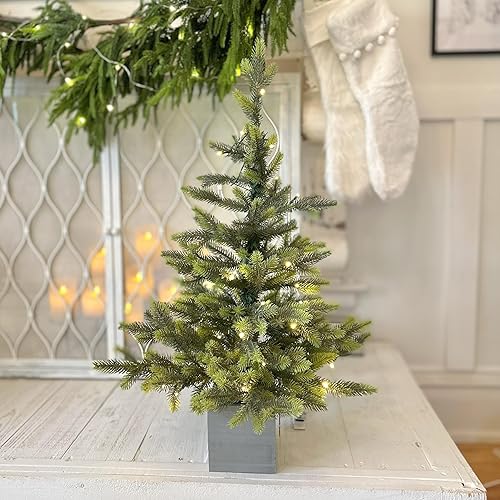 Miniatura 6 de Haute Decor Prelit Fraser - Árbol en maceta de madera de 30 pulgadas, 35 luces LED cóncavas blancas cálidas, árbol de Navidad con temporizador