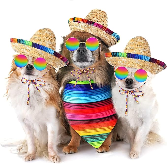 Disfraz Mexicano para Perro con Sombrero, Bandana y Gafas miniatura 5