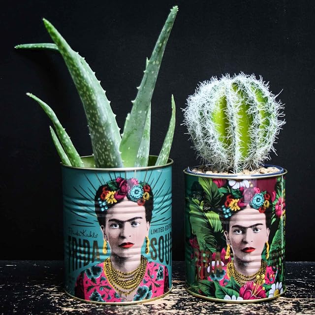 Set Of 2 Frida Kahlo Retro Storage Tin ~ Decorative Display Can ~ Turquoise and Green