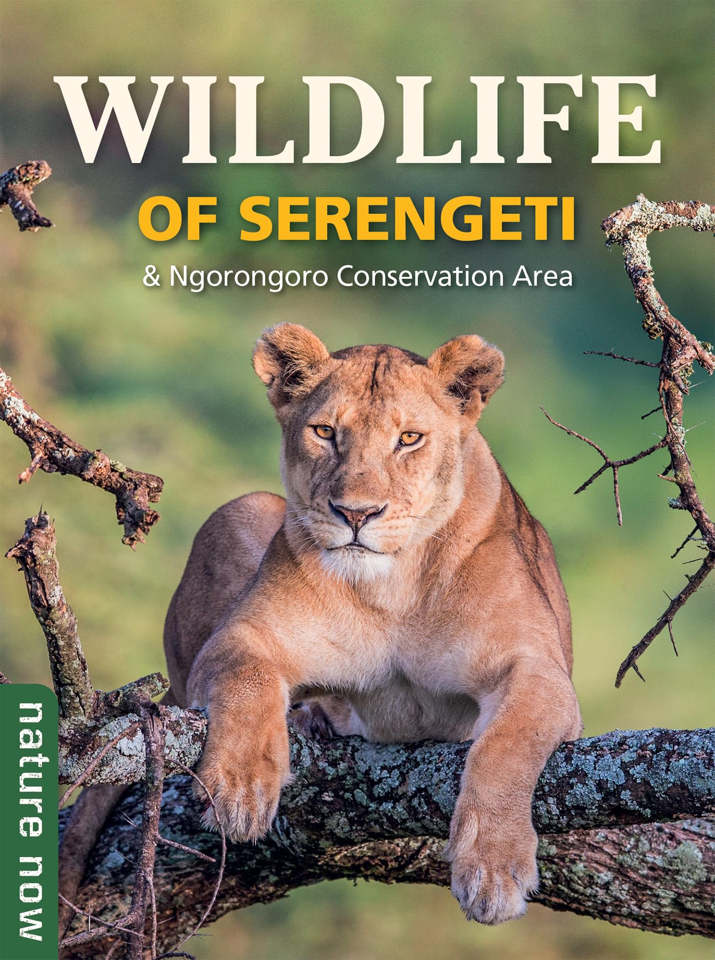 Wildlife of Serengeti & Ngorongoro Conservation Area by Jean du Plessis