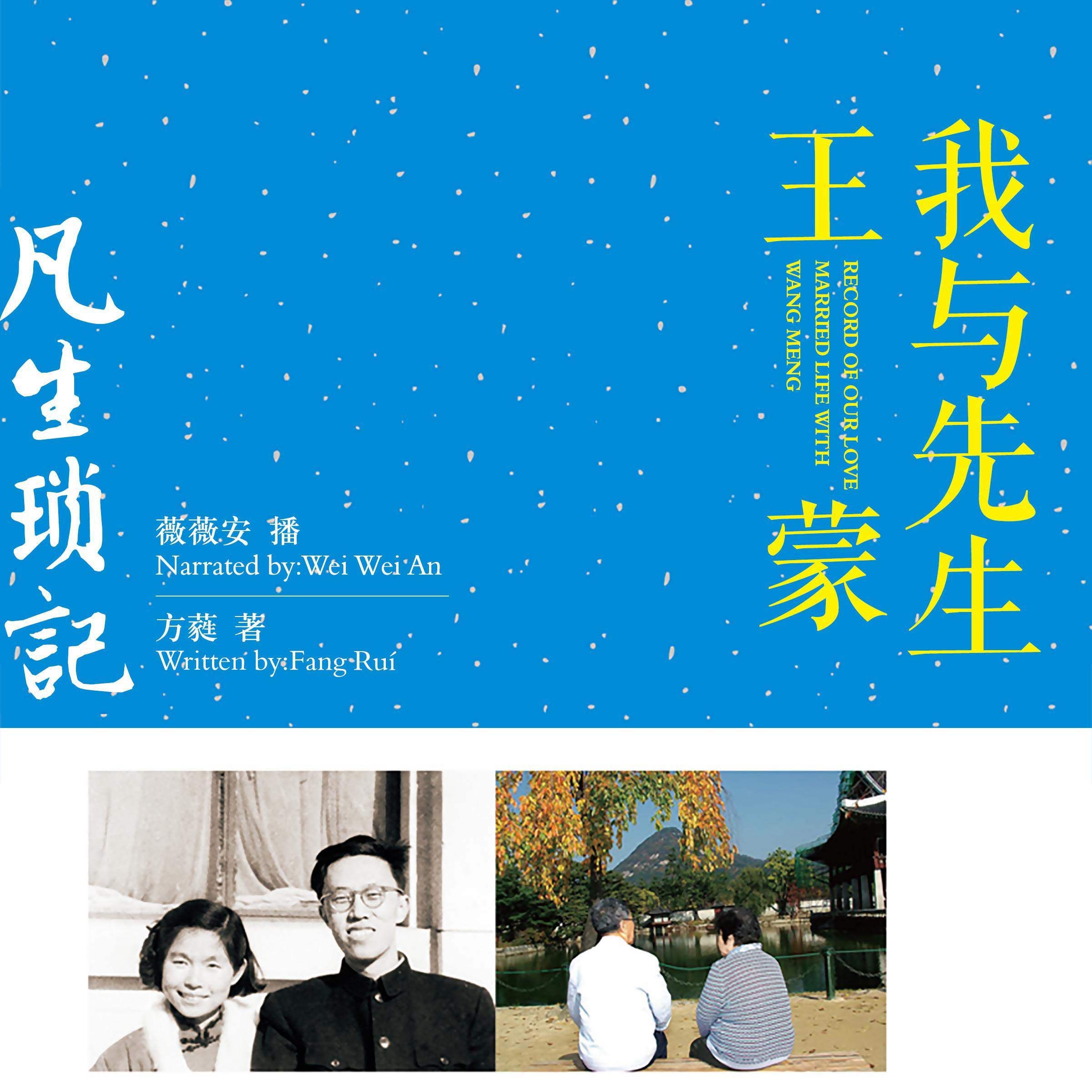 凡生琐记：我与先生王蒙 - 凡生瑣記：我與先生王蒙 [Record of Our Love: Married Life with Wang Meng]