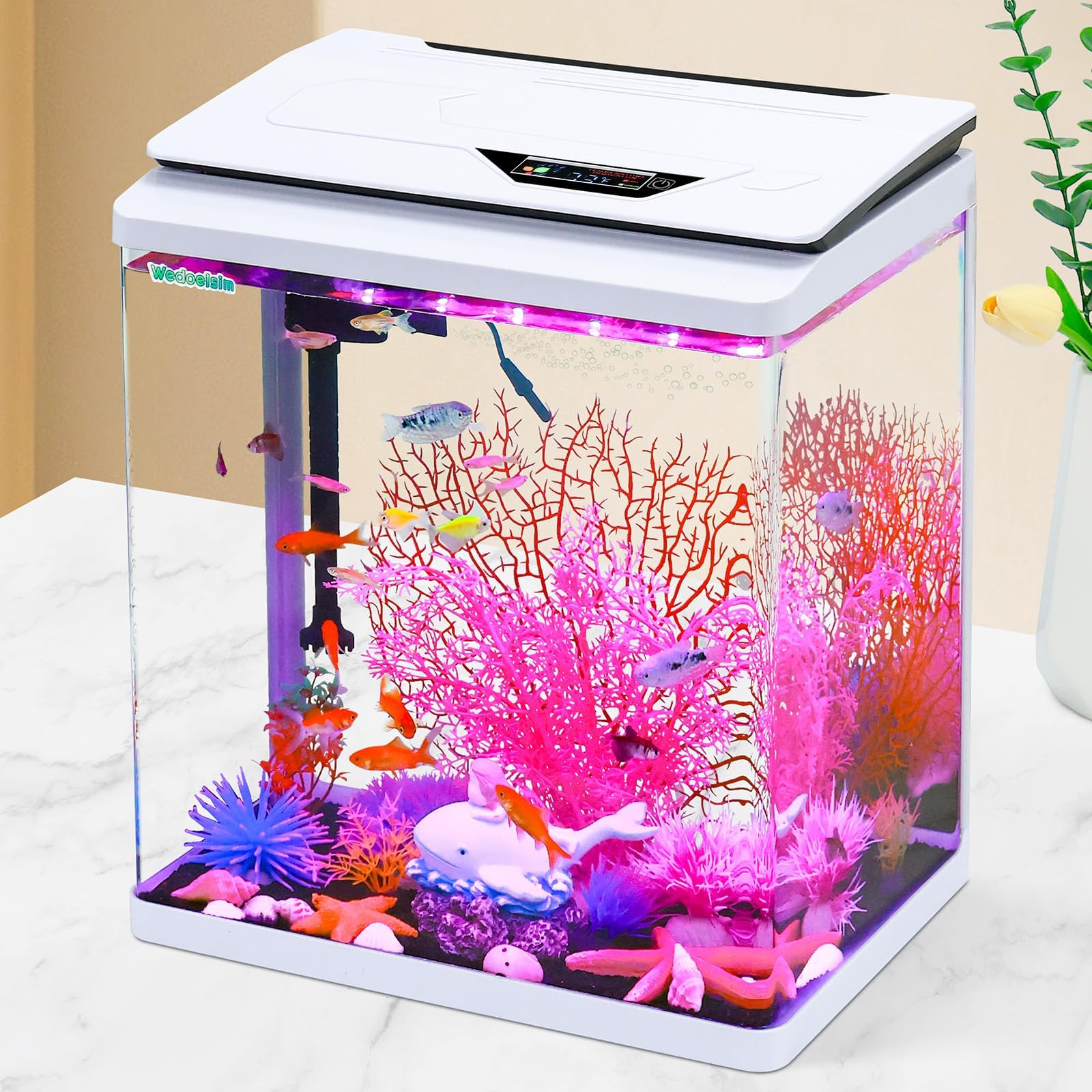 Betta Fish Tank, Gallon Aquarium Kit With Modular Filtration