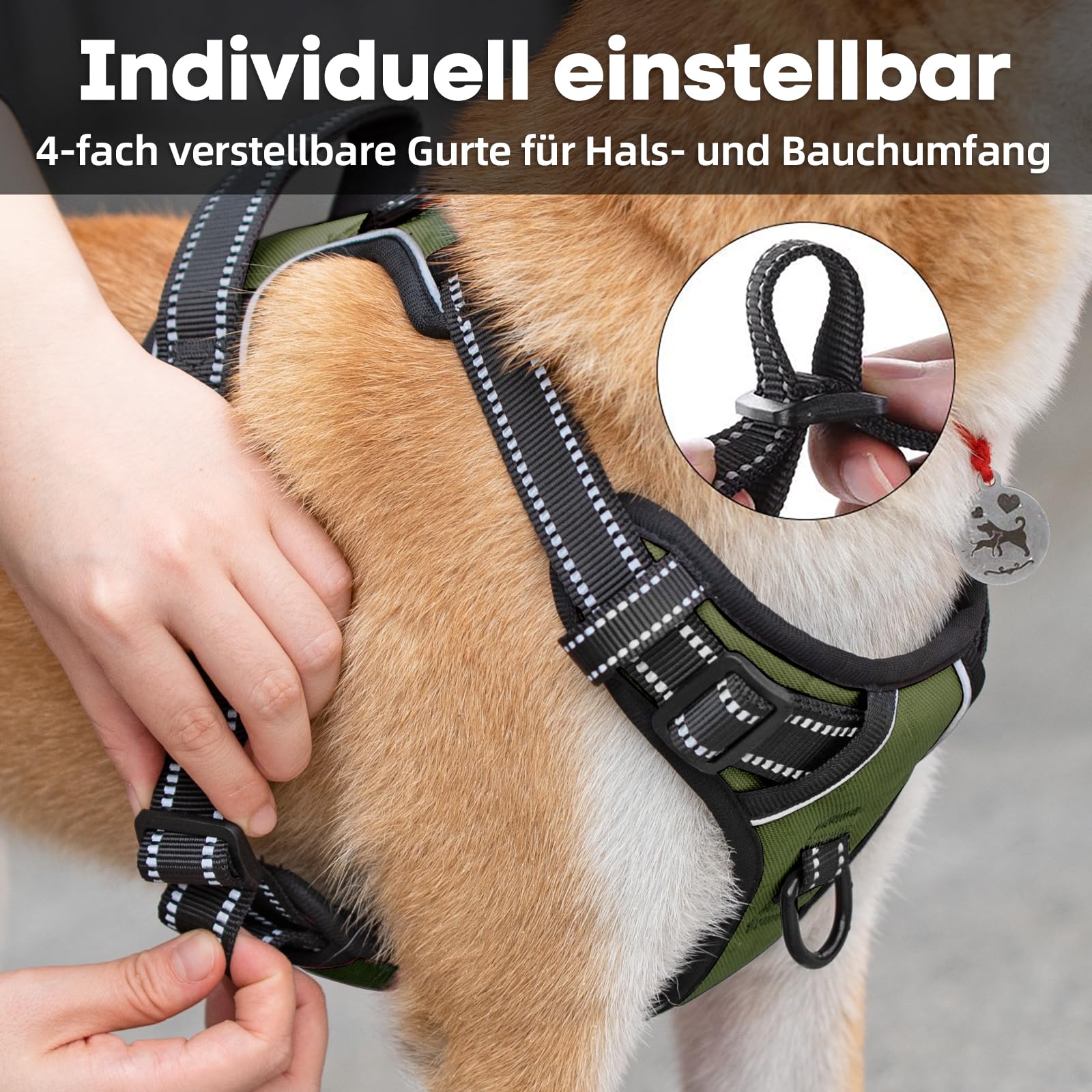 PoyPet No Pull Harnais pour chien - Harnais réfléchissant avec 2 attaches de laisse et poignée de contrôle simple pour chiens de petite et moyenne taille (vert armée, taille L)