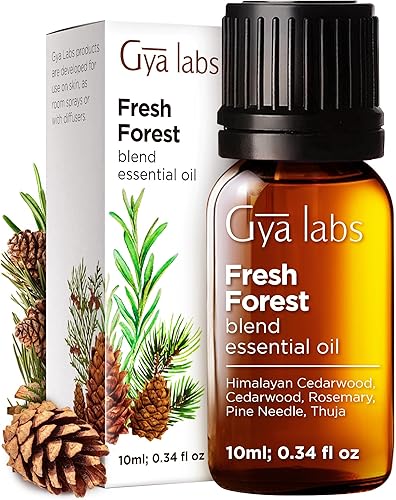 Gya Labs Fresh Forest - Difusor de mezcla de aceites esenciales, juego de aceites esenciales de bosque fresco para aromaterapia, velas y bricolaje,