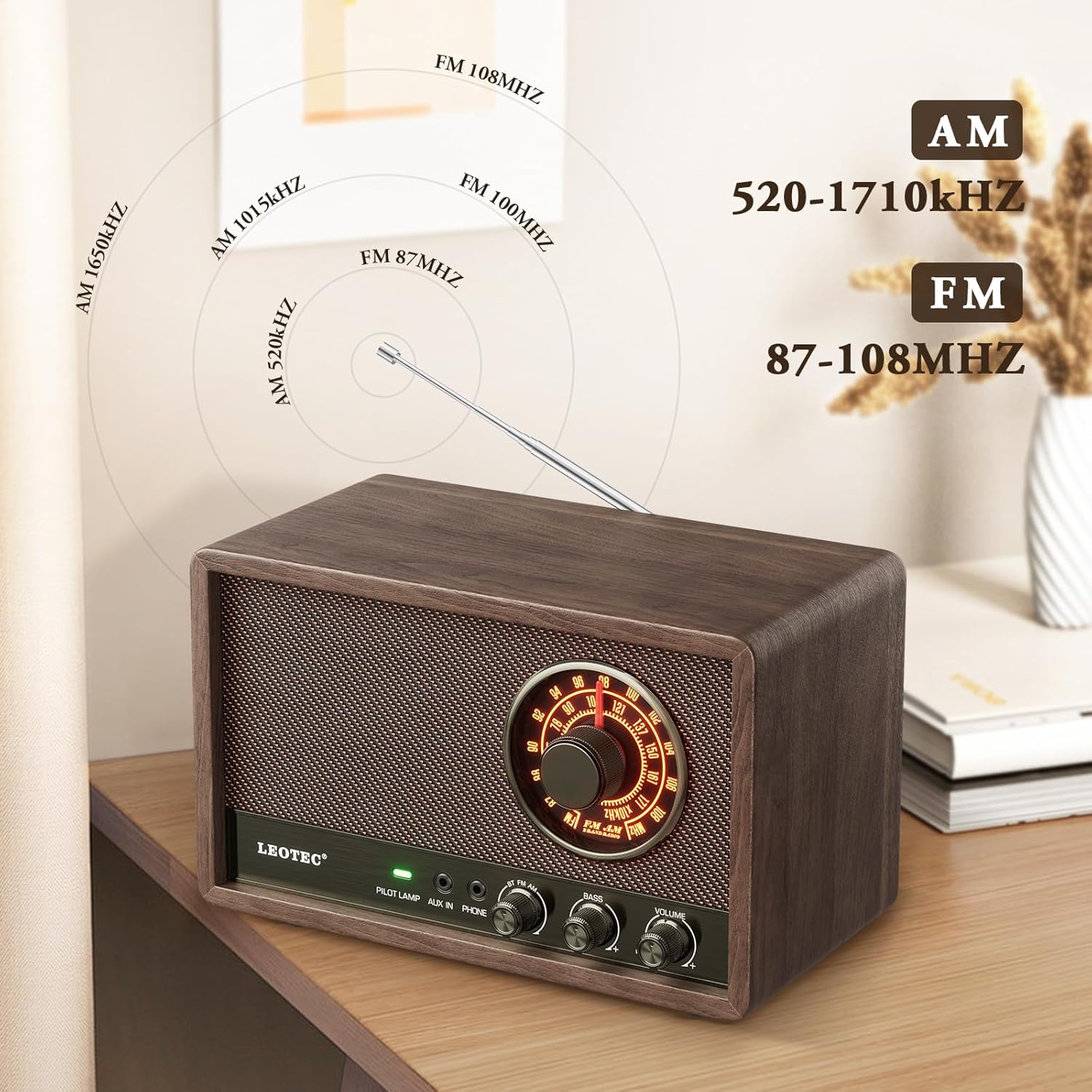 LEOTEC Radio AM FM Frequencies