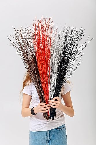 Vista 24 de ECOVENIK 25 piezas – Ramas – 28.7 in, ramitas de abedul natural, paquete de 20-25 tallos, largo para jarrones de suelo, (color marrón natural)