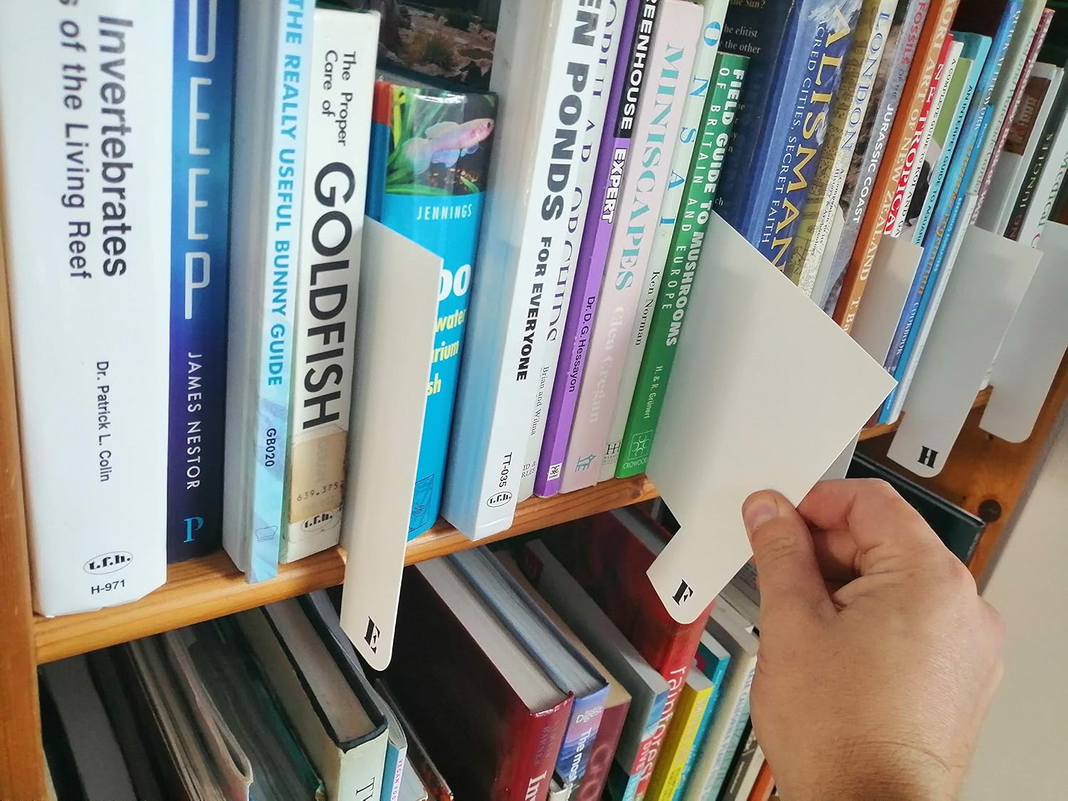 DISPRA Livres pour Bureau - Stockage Livres détachable à 4 Compartiments | Étagère Chambre à Coucher pour fichier Magazines, Support Livre Gran DISPRA Livres pour Bureau - Stockage Livres détachable à 4 Compartiments | Étagère Chambre à Coucher pour fichier Magazines, Support Livre Gran