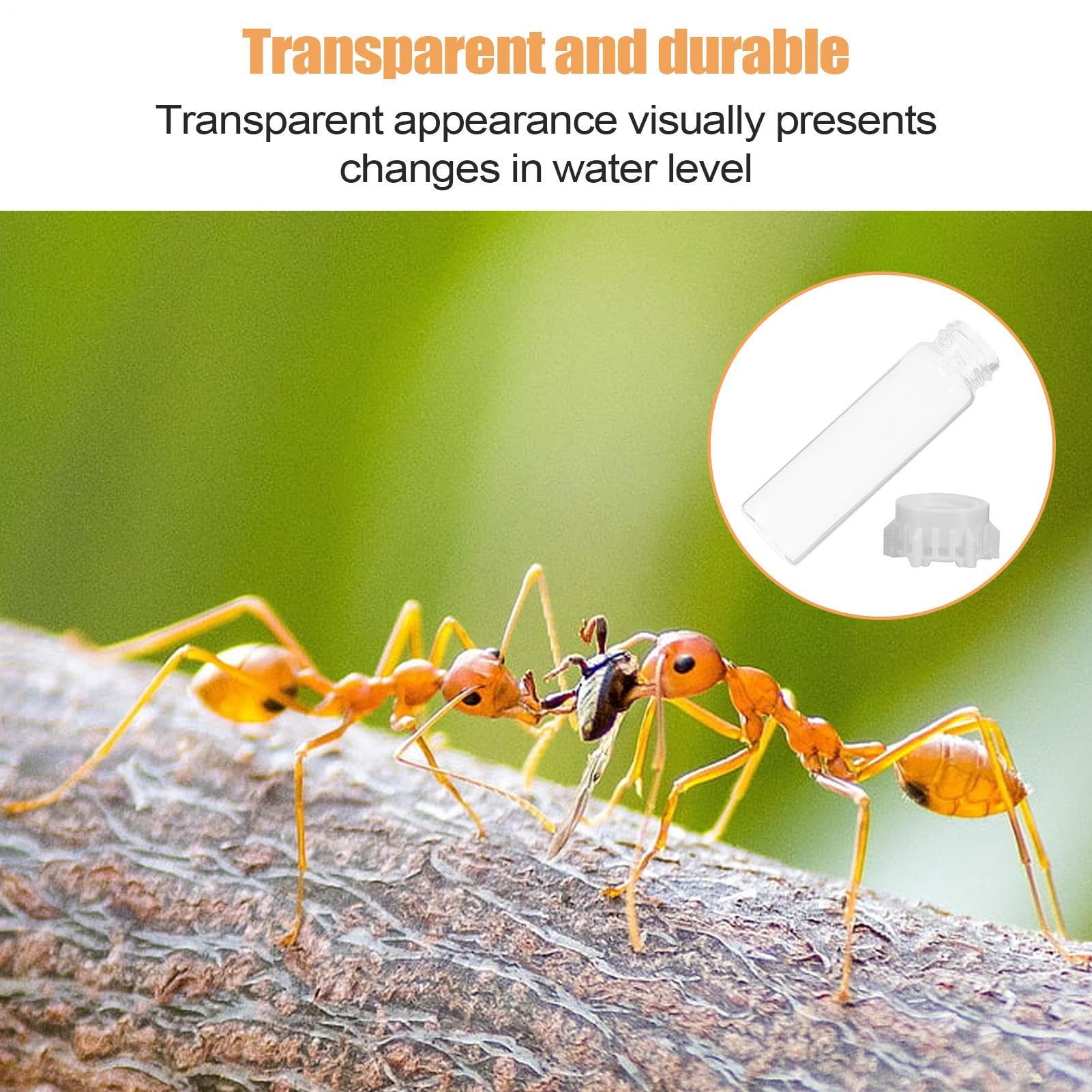 Distributeur d'eau pour Fourmis,Nourrisseur Liquide pour Petits Animaux - Accessoires Anti-Fuite pour Fourmilière Portable, Station d'alimentation Robuste pour Nid D'intérieur