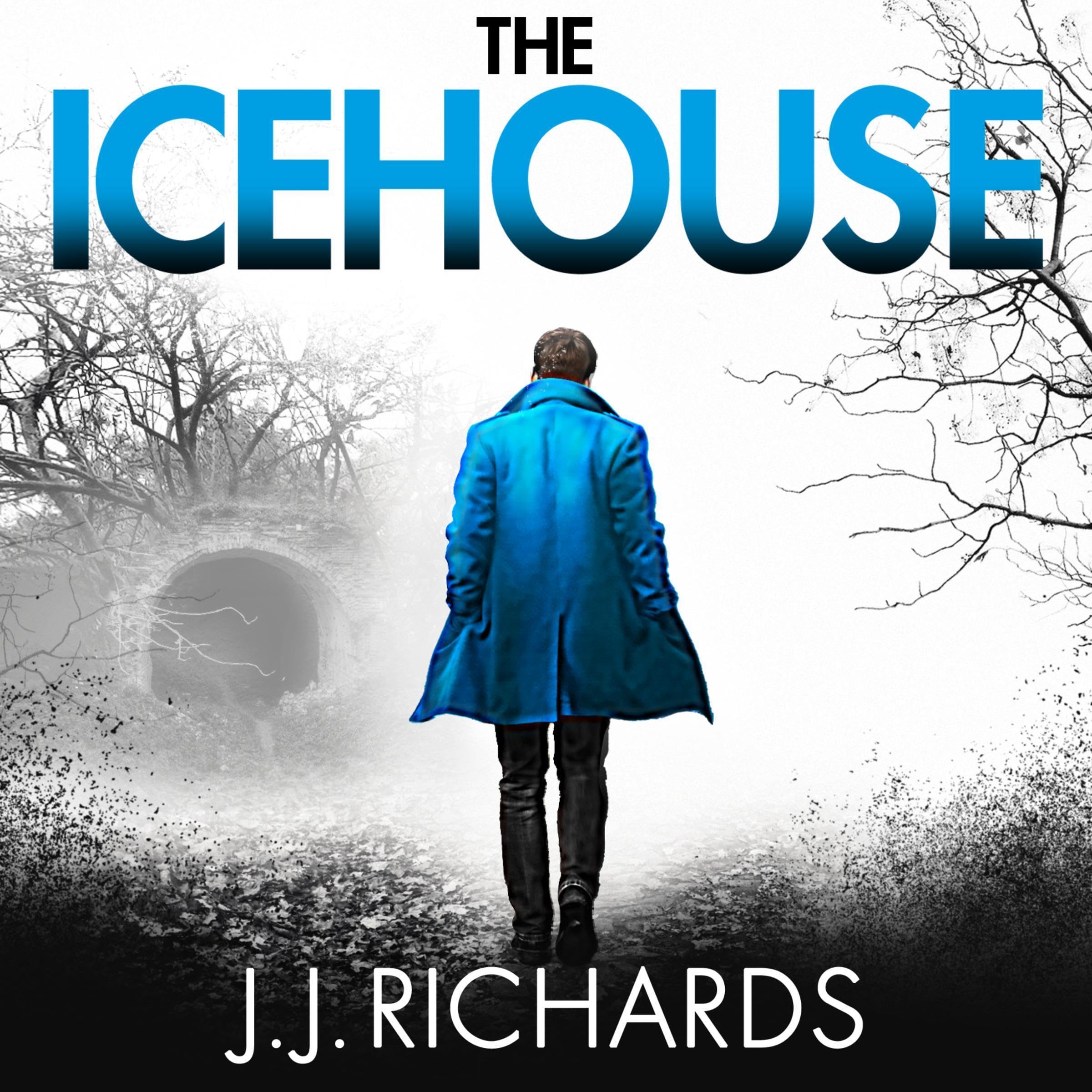 The Icehouse (DCI Walker Crime Thrillers Book 1) book cover