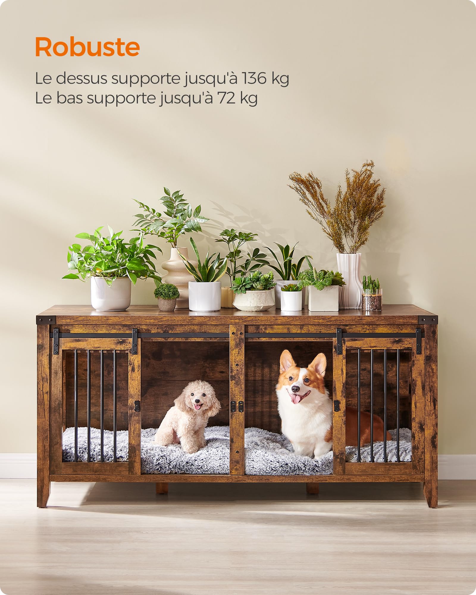 Feandrea Cage pour Chien PFC301X01