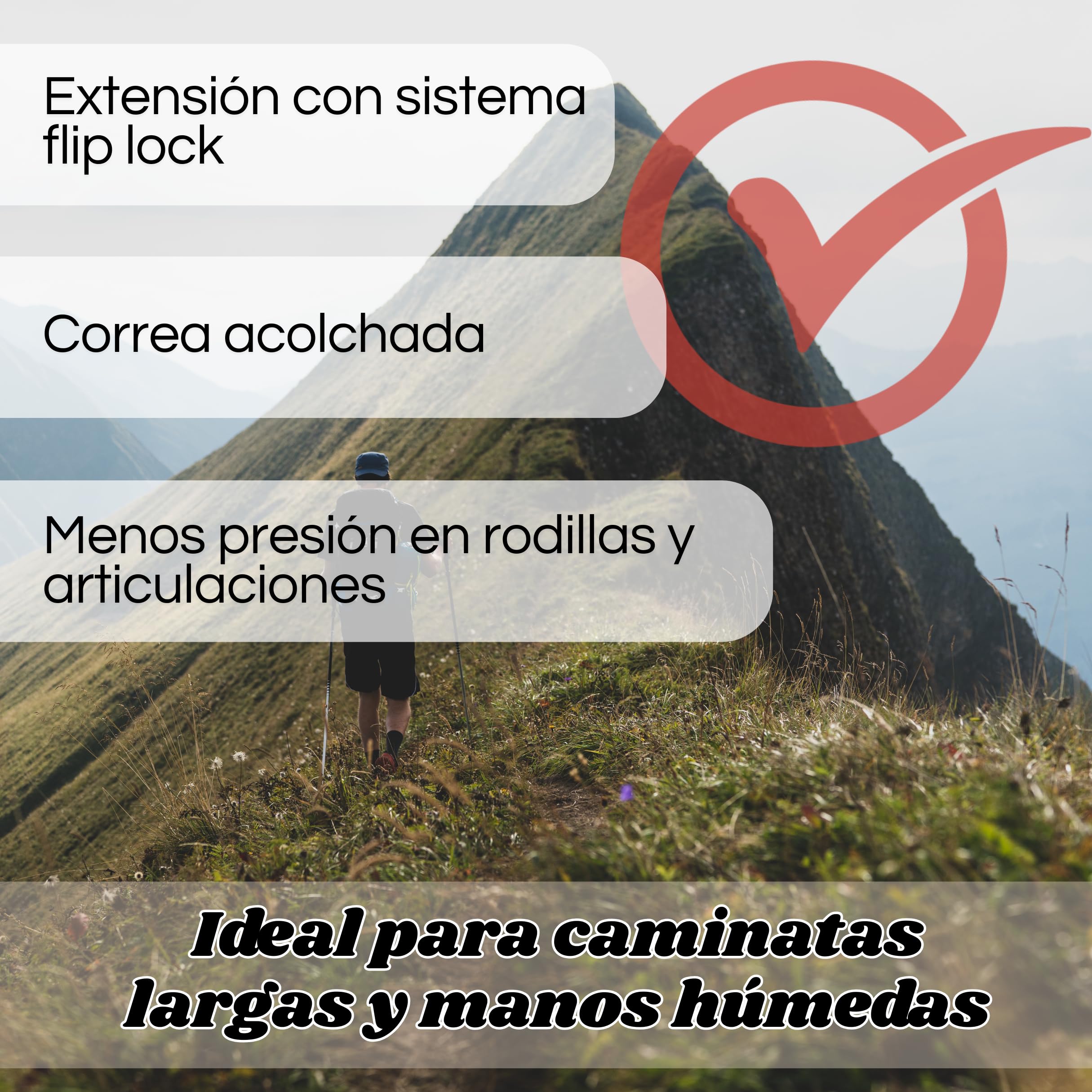 Weida | Bastones Extensibles de Aluminio 2 Unidades de Senderismo | Ligeros y Resistentes con Empuñadura Ergonómica de Goma | Correa Ajustable | Bloqueo rápido | para Todoterreno - 5