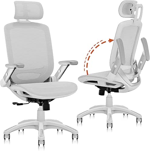 GABRYLLY Ergonomic Office Chair, High Back Home Desk Chair with
