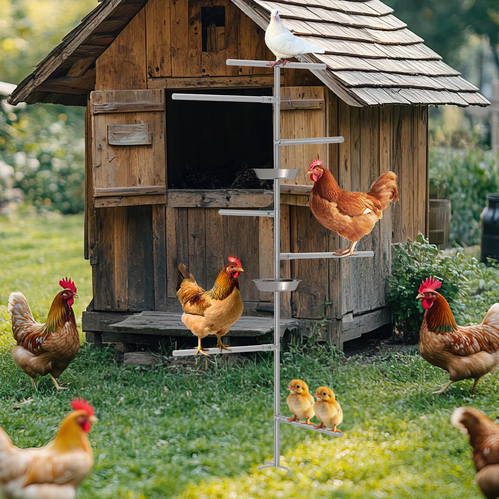 Perchas para Pollos, Juguetes para gallinas,escaleras de gallinas, Juguete de Patio con función de enriquecimiento Ambiental gallinero, Granja para Pollos, Loros y Palomas