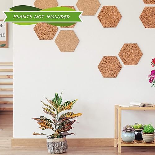 Miniatura 6 de 6 macetas de cerámica para suculentas con agujeros de drenaje, 6 bandejas de bambú, recipientes pequeños para plantas, regalo ideal para decorar el