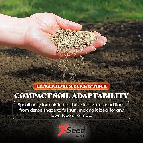 Miniatura 4 de Mezcla de semillas de césped X-Seed Ultra Premium, rápido y grueso, North